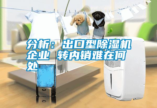 分析：出口型除濕機(jī)企業(yè) 轉(zhuǎn)內(nèi)銷難在何處