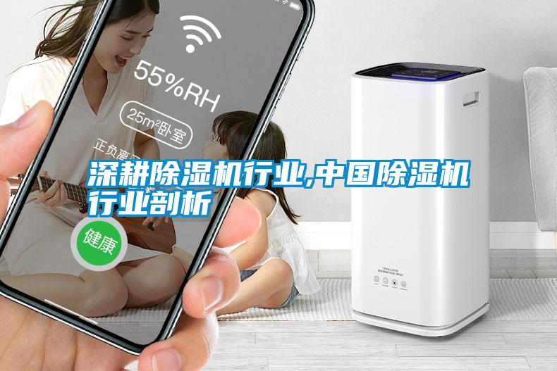 深耕除濕機行業(yè),中國除濕機行業(yè)剖析