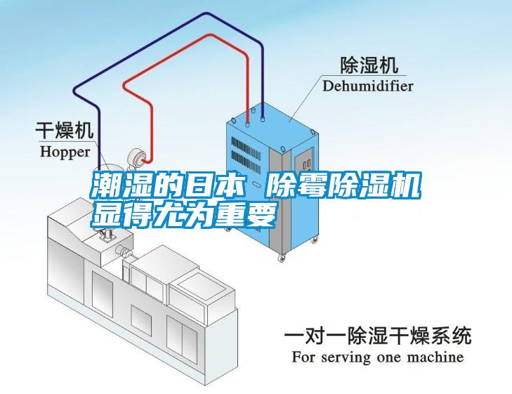 潮濕的日本 除霉除濕機(jī)顯得尤為重要