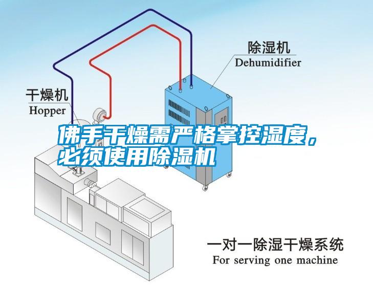 佛手干燥需嚴(yán)格掌控濕度，必須使用除濕機(jī)