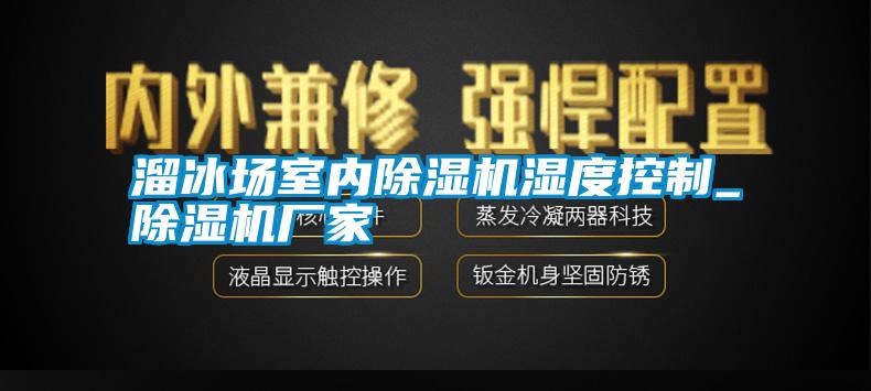 溜冰場室內(nèi)除濕機濕度控制_除濕機廠家