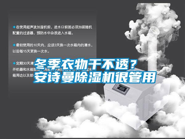 冬季衣物干不透？ 安詩曼除濕機很管用