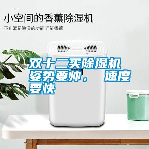 雙十二買除濕機(jī)姿勢要帥， 速度要快