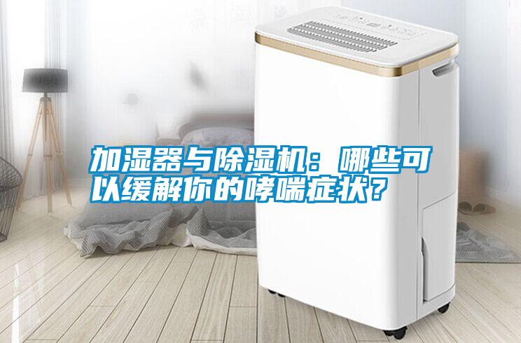 加濕器與除濕機：哪些可以緩解你的哮喘癥狀？