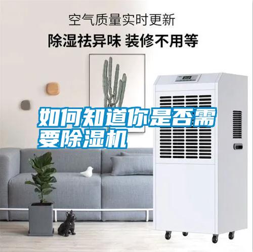 如何知道你是否需要除濕機(jī)