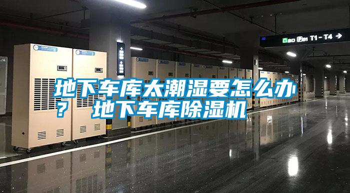 地下車庫太潮濕要怎么辦？ 地下車庫除濕機(jī)