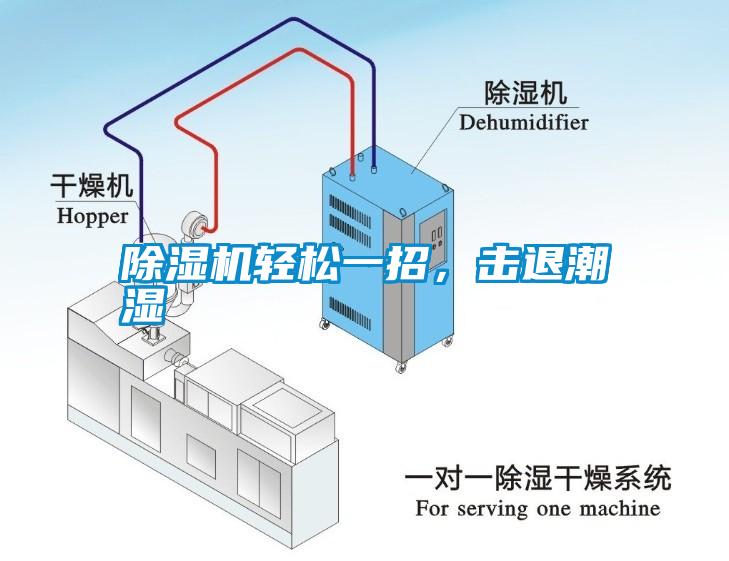 除濕機(jī)輕松一招，擊退潮濕