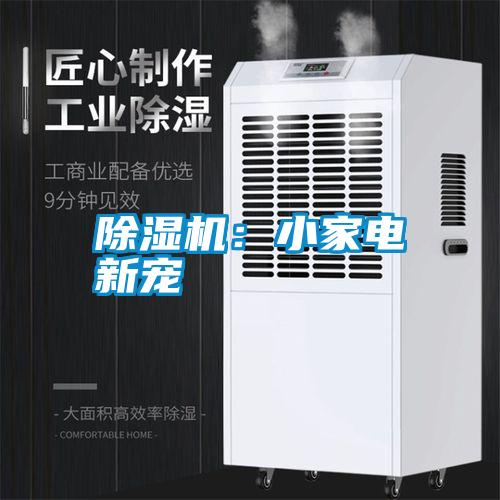 除濕機(jī)：小家電新寵