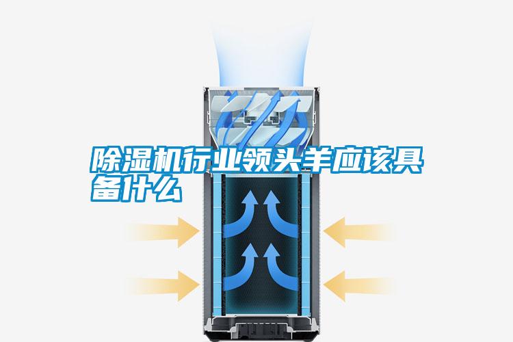 除濕機(jī)行業(yè)領(lǐng)頭羊應(yīng)該具備什么