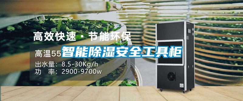 智能除濕安全工具柜