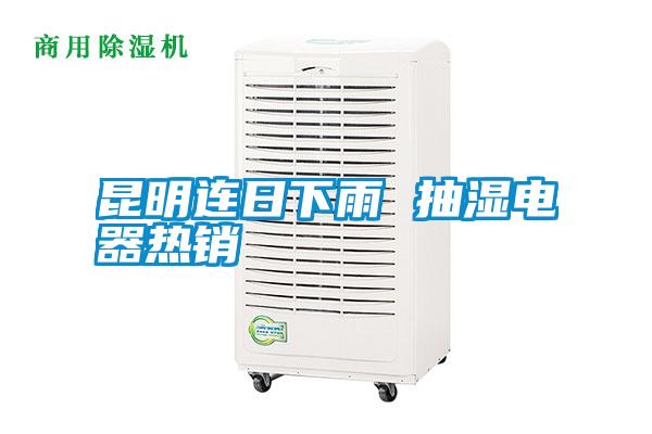 昆明連日下雨 抽濕電器熱銷