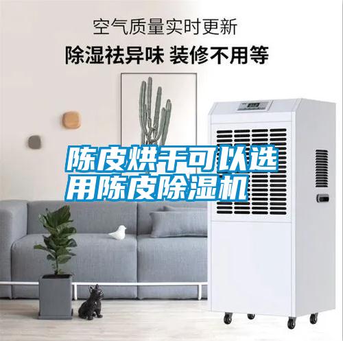 陳皮烘干可以選用陳皮除濕機