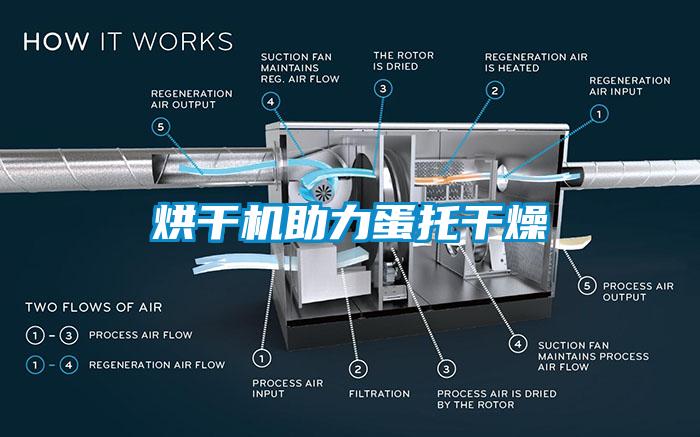 烘干機(jī)助力蛋托干燥