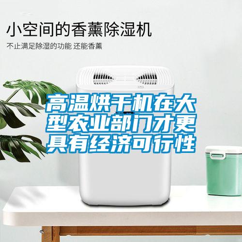 高溫烘干機在大型農業(yè)部門才更具有經濟可行性