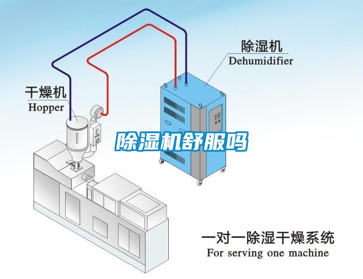 除濕機(jī)舒服嗎