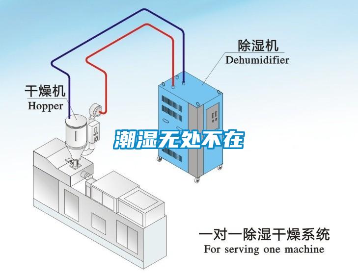 潮濕無處不在