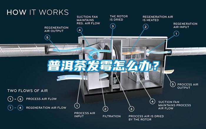 普洱茶發(fā)霉怎么辦？