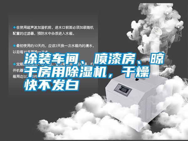 涂裝車間、噴漆房、晾干房用除濕機(jī)，干燥快不發(fā)白