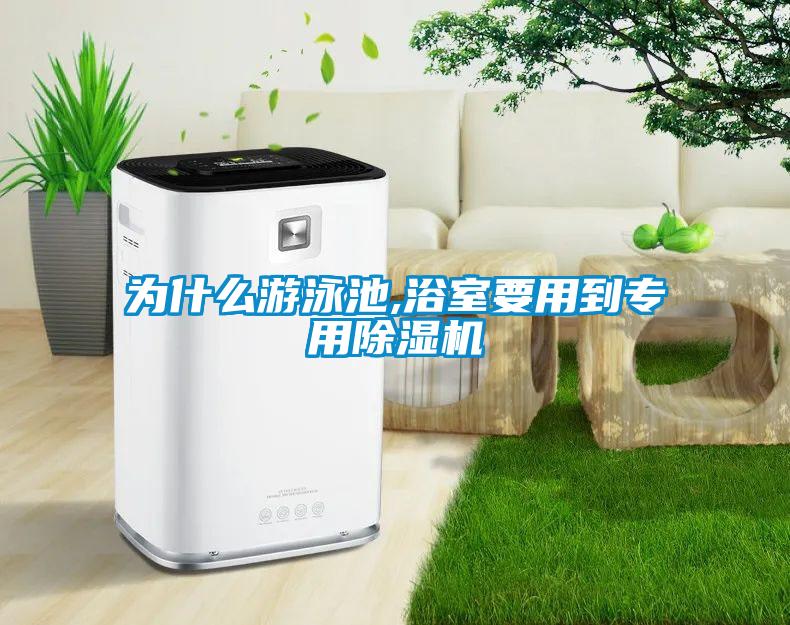 為什么游泳池,浴室要用到專用除濕機(jī)