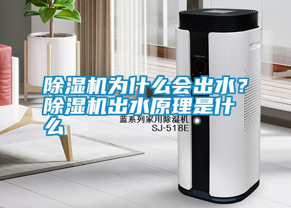 除濕機為什么會出水？除濕機出水原理是什么