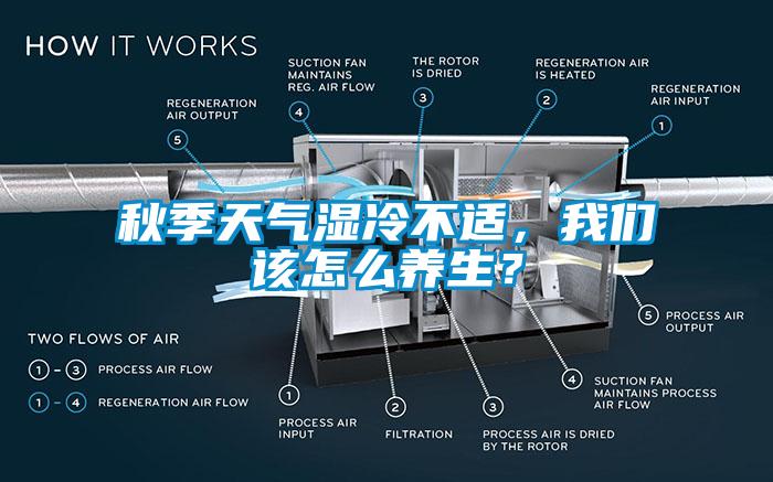 秋季天氣濕冷不適，我們?cè)撛趺答B(yǎng)生？