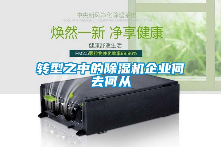 轉(zhuǎn)型之中的除濕機企業(yè)何去何從