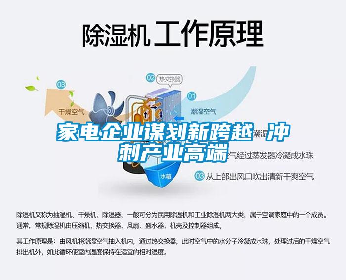 家電企業(yè)謀劃新跨越 沖刺產(chǎn)業(yè)高端