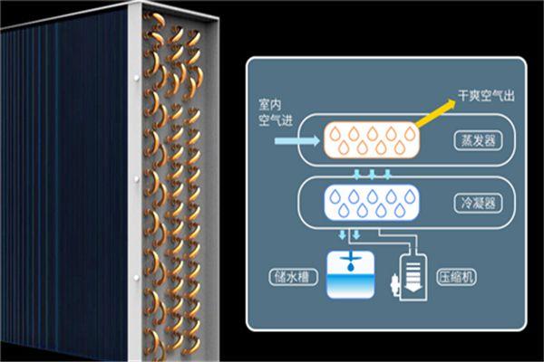 工業(yè)除濕機(jī)突破常規(guī)冷凍除濕機(jī)技術(shù)瓶頸