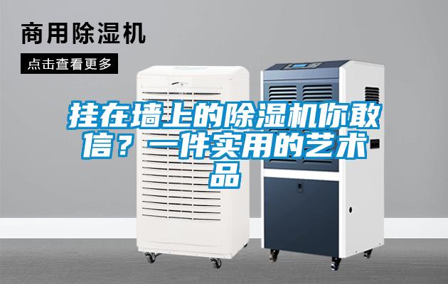 掛在墻上的除濕機你敢信？一件實用的藝術(shù)品