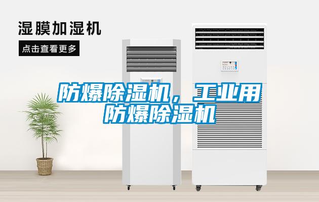 防爆除濕機，工業(yè)用防爆除濕機