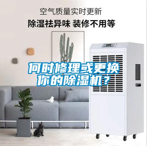 何時修理或更換你的除濕機？