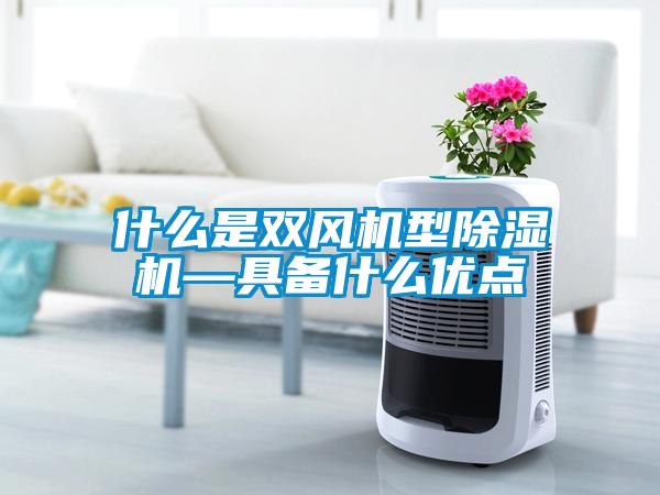 什么是雙風(fēng)機型除濕機—具備什么優(yōu)點