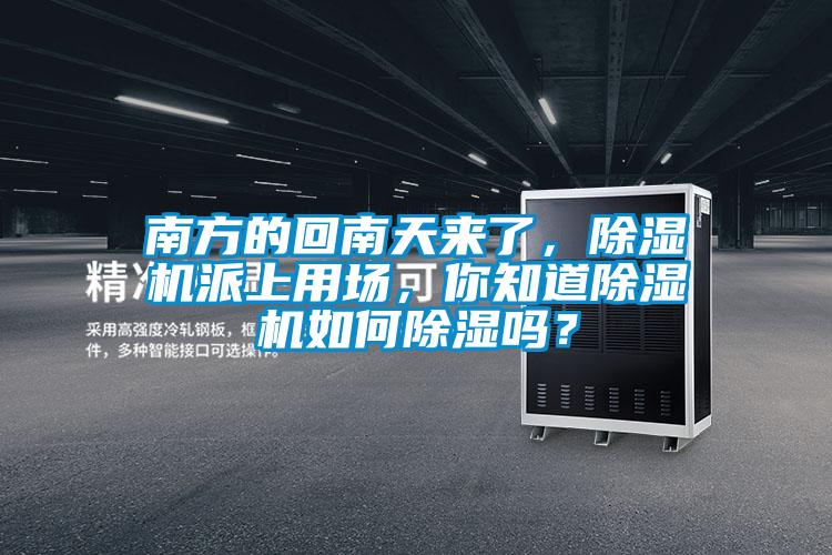 南方的回南天來了，除濕機派上用場，你知道除濕機如何除濕嗎？