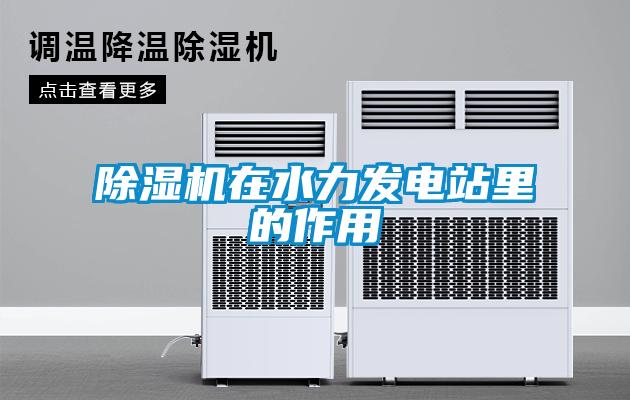 除濕機在水力發(fā)電站里的作用