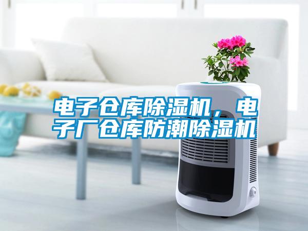 電子倉庫除濕機，電子廠倉庫防潮除濕機