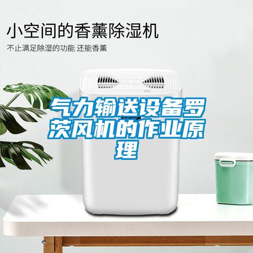 氣力輸送設(shè)備羅茨風(fēng)機(jī)的作業(yè)原理