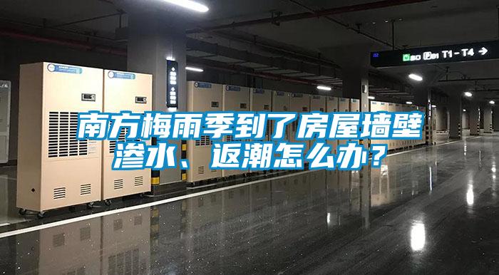 南方梅雨季到了房屋墻壁滲水、返潮怎么辦？