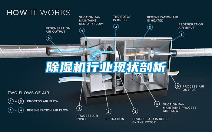 除濕機行業(yè)現(xiàn)狀剖析