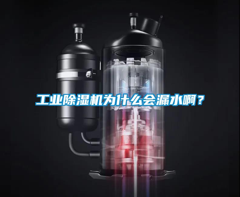 工業(yè)除濕機為什么會漏水啊？