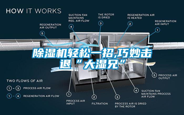 除濕機(jī)輕松一招,巧妙擊退“大濕兄”