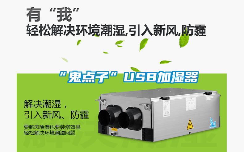 “鬼點子”USB加濕器