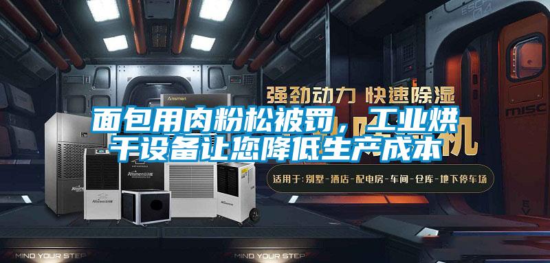 面包用肉粉松被罰，工業(yè)烘干設備讓您降低生產成本