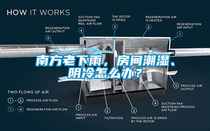 南方老下雨，房間潮濕、陰冷怎么辦？