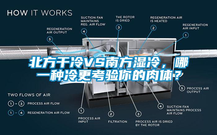 北方干冷VS南方濕冷，哪一種冷更考驗(yàn)?zāi)愕娜怏w？