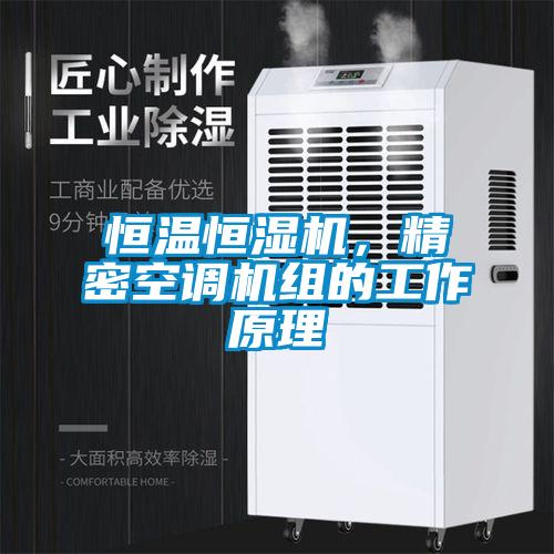 恒溫恒濕機，精密空調(diào)機組的工作原理