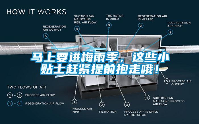 馬上要進(jìn)梅雨季，這些小貼士趕緊提前抱走哦！