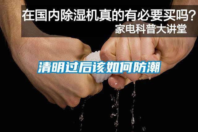 清明過后該如何防潮