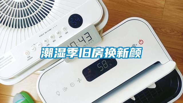 潮濕季舊房換新顏