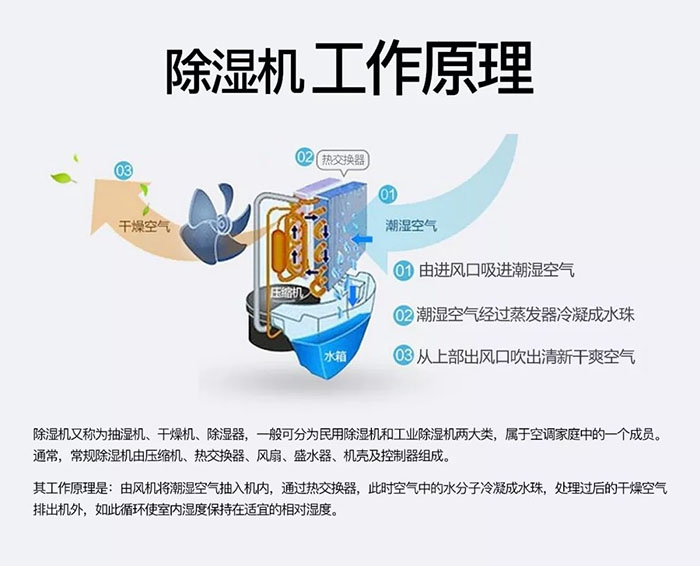 中藥材怎么烘干不變色？中藥材烘干用除濕機