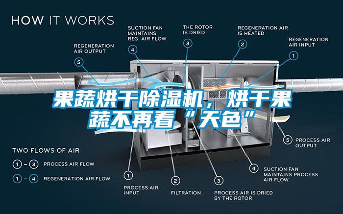 果蔬烘干除濕機，烘干果蔬不再看“天色”